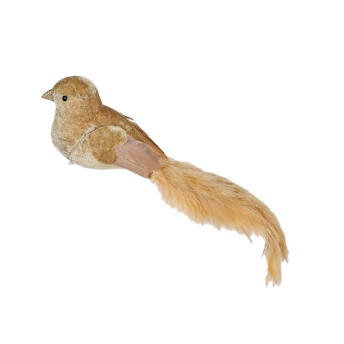 Gold Velvet Bird (30cm) 