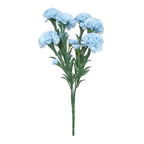Essential Light Blue Carnation Bunch Essential Light Blue Carnation Bunch