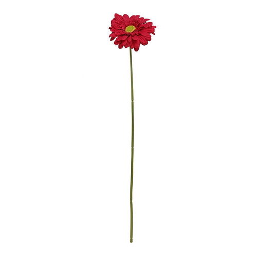 Single Burgundy Gerbera (72cm) Single Burgundy Gerbera (72cm)
