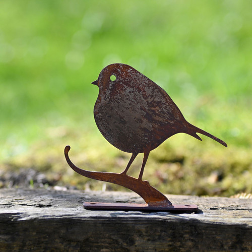 Nature Silhouette Robin On Branch Nature Silhouette Robin On Branch