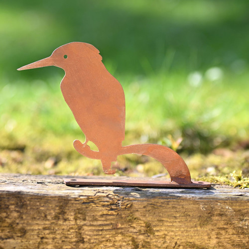 Nature Silhouette Kingfisher on Branch Nature Silhouette Kingfisher on Branch