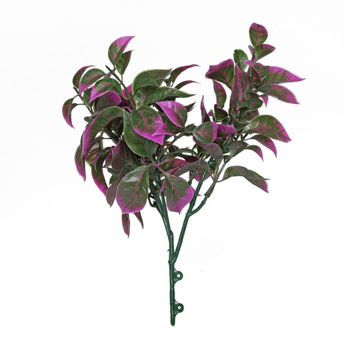 Purple Pointy Bush (25cm) Purple Pointy Bush (25cm)