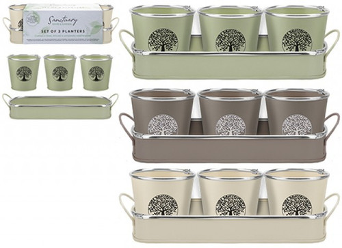 Tree Of Life Pack of 3 Planters & Tray (Assorted)