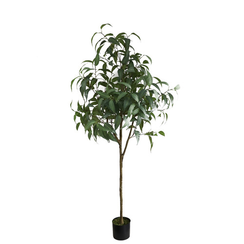 Artificial Eucalyptus Sugar Gum Tree (183cm) Artificial Eucalyptus Sugar Gum Tree (183cm)
