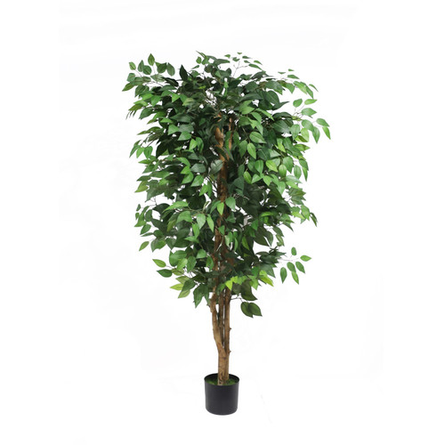 Artificial Ficus Multi Stem Tree (150cm) Artificial Ficus Multi Stem Tree (150cm)
