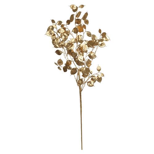 Gold Eucalyptus Foliage Stem Gold Eucalyptus Foliage Stem