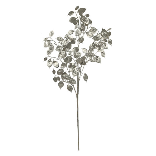 Silver Eucalyptus Foliage Stem Silver Eucalyptus Foliage Stem