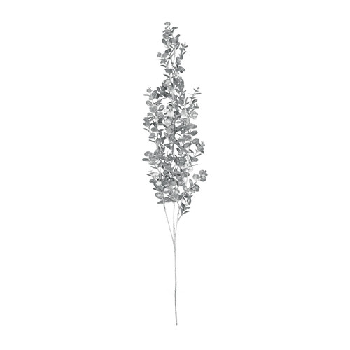 Silver Hanging Eucalyptus Silver Hanging Eucalyptus
