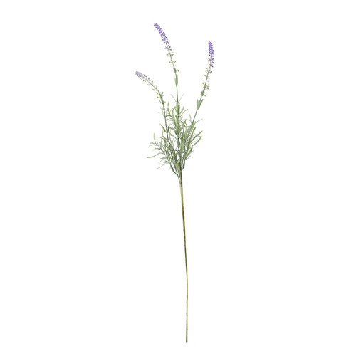 Essential Lavender Stem Essential Lavender Stem