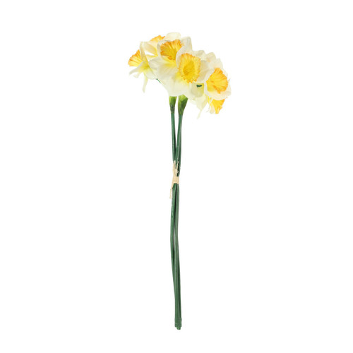 Essential White Mini Daffodil Bunch Essential White Mini Daffodil Bunch