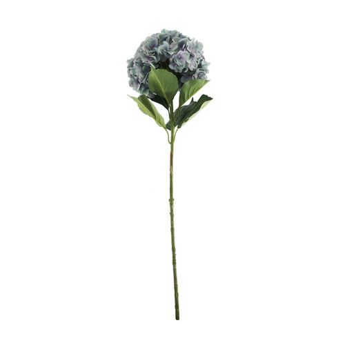 Essential Lilac/Green Giant Hydrangea Essential Lilac/Green Giant Hydrangea
