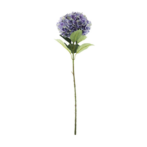 Essential Purple Giant Hydrangea Essential Purple Giant Hydrangea