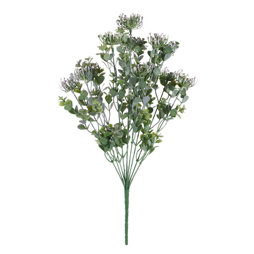 Essential Lilac Sedum Bush Essential Lilac Sedum Bush