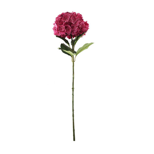 Essential Dark Pink Giant Hydrangea Essential Dark Pink Giant Hydrangea
