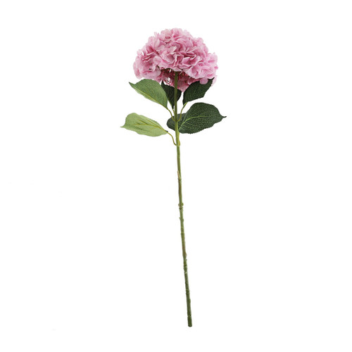 Essential Light Pink Giant Hydrangea Essential Light Pink Giant Hydrangea
