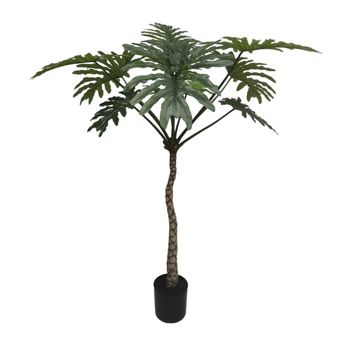 Botanica Philodendron Plant in pot (160cm) Botanica Philodendron Plant in pot (160cm)