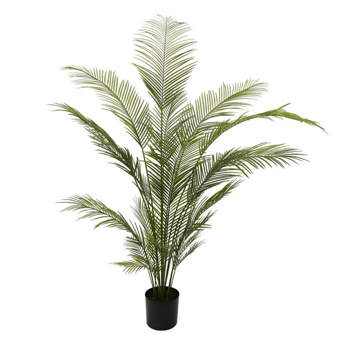 Botanica Areca Palm in Pot (180cm) Botanica Areca Palm in Pot (180cm)