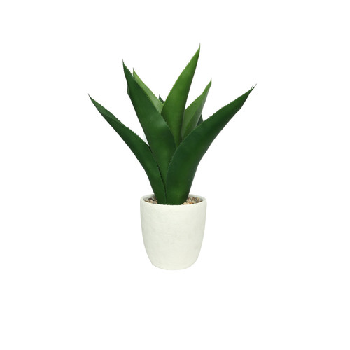 White Botanica Potted Agave (61cm) White Botanica Potted Agave (61cm)