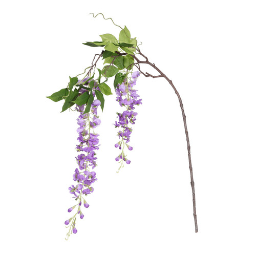 Botanica Purple Wisteria Sinensis (144cm) Botanica Purple Wisteria Sinensis (144cm)