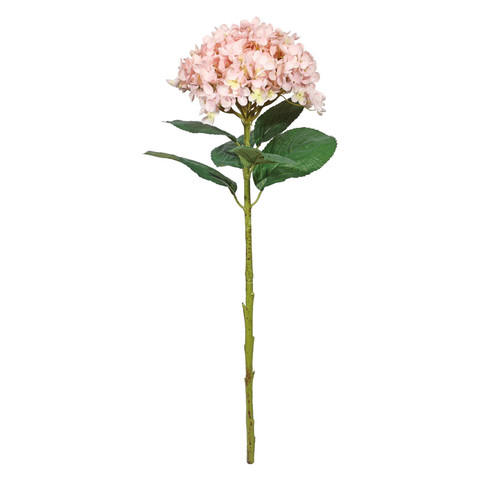 Botanica Giant Pink Mop Head Hydrangea (73cm) Botanica Giant Pink Mop Head Hydrangea (73cm)