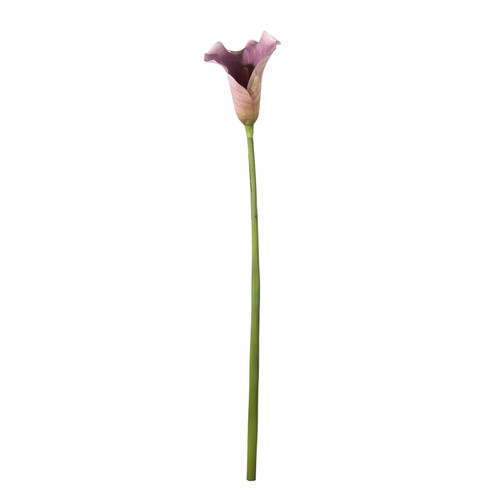 Botanica Large Purple Calla Lily (82cm) Botanica Large Purple Calla Lily (82cm)