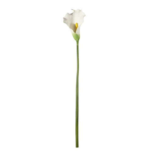 Botanica Large White Calla Lily (82cm) Botanica Large White Calla Lily (82cm)