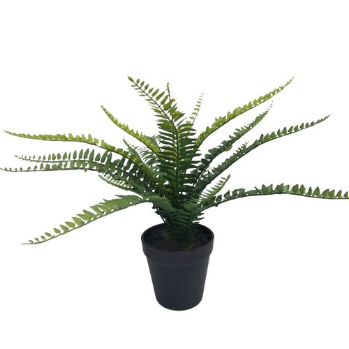 Botanica Fern Plant (35cm) Botanica Fern Plant (35cm)