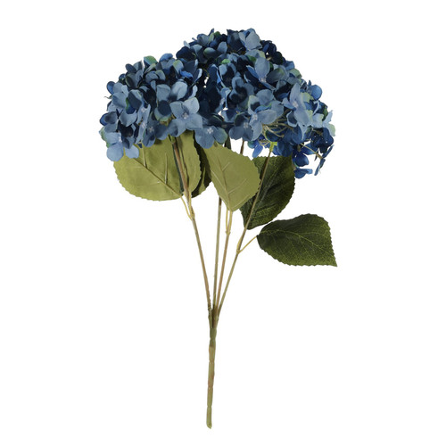 Essential Blue Hydrangea Bush (36cm) Essential Blue Hydrangea Bush (36cm)