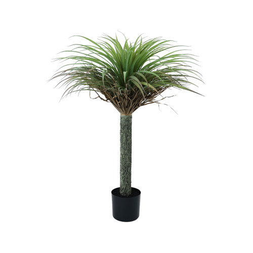 Botanica Yucca Tree in Pot (105cm) Botanica Yucca Tree in Pot (105cm)