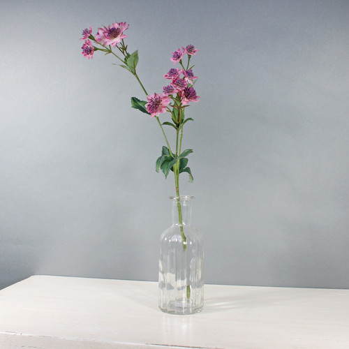 Pink Astrantia with 14 Flowers (50cm) Pink Astrantia with 14 Flowers (50cm)
