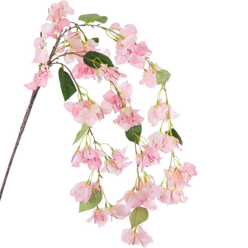 Pink Bougainvillea Cascading Branch