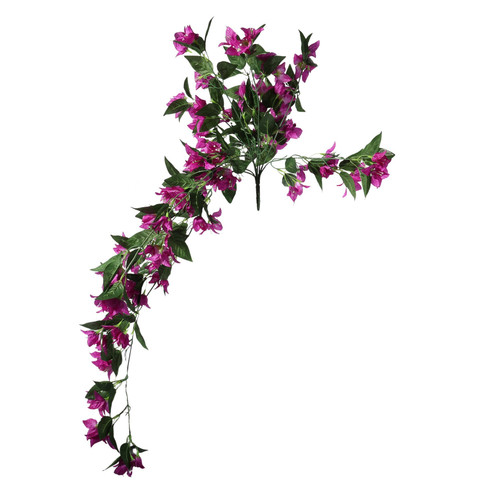 Essential Dark Pink Bougainvillea Bush Essential Dark Pink Bougainvillea Bush