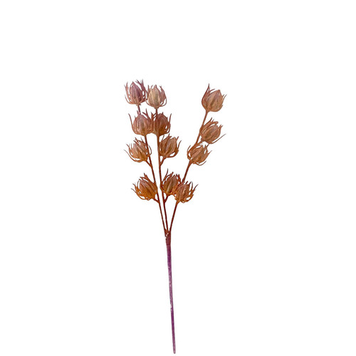 Coral Cosy Mini Fruit Spray (35cm)