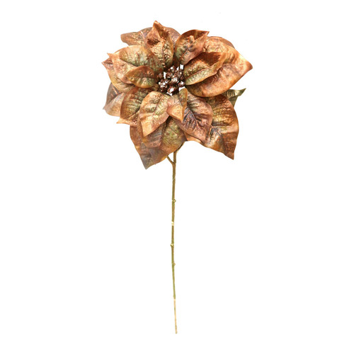 Golden Brown Poinsettia Stem (50cm) Golden Brown Poinsettia Stem (50cm)