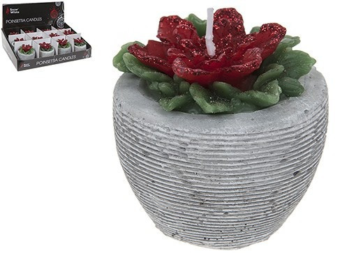 Small Poinsettia Candle In 12 Piece Display Box