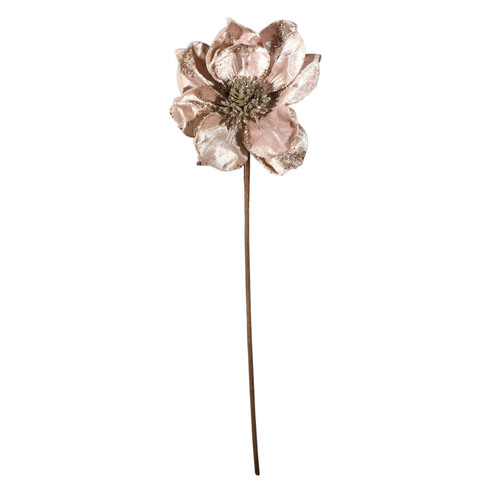 Champagne Magnolia Head (45cm)