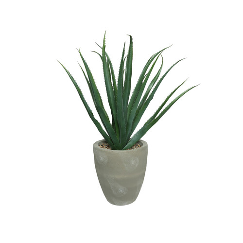 Grey Large Potted Botanica Agave 