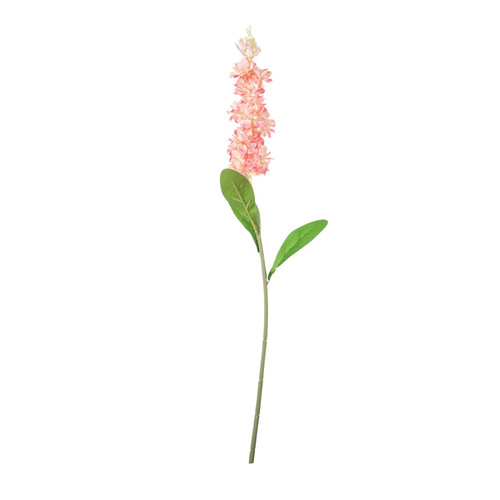 Coral Garden Stock Flower (65cm)