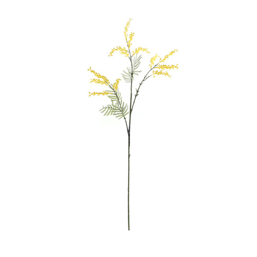 Essential Yellow Mimosa (85cm)