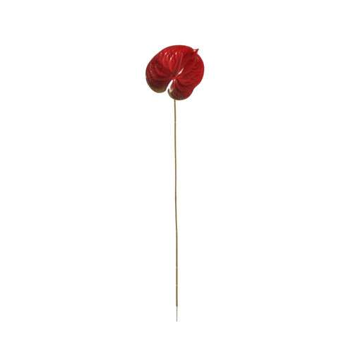 Essential Red Anthurium (59cm)