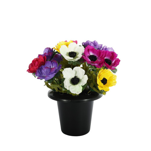 Essential Multicoloured Anemone Remembrance Pot