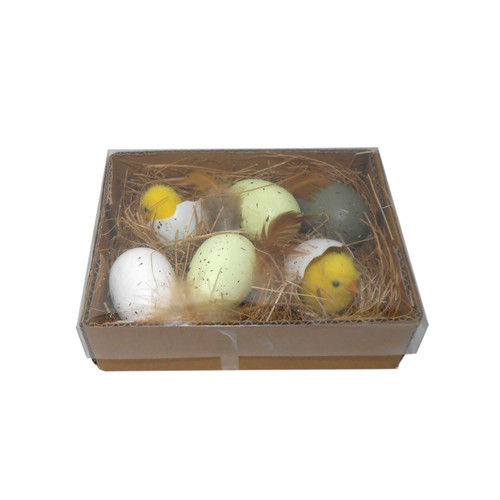 Box of 6 Eggs with Chicks