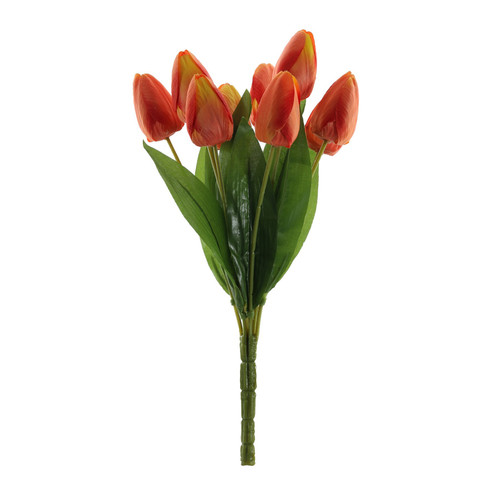 Essential Orange Tulip Bunch (40cm)