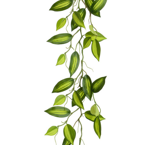 Green Wandering Jew Garland