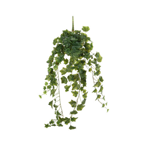 Green English Ivy Hanger (86cm)
