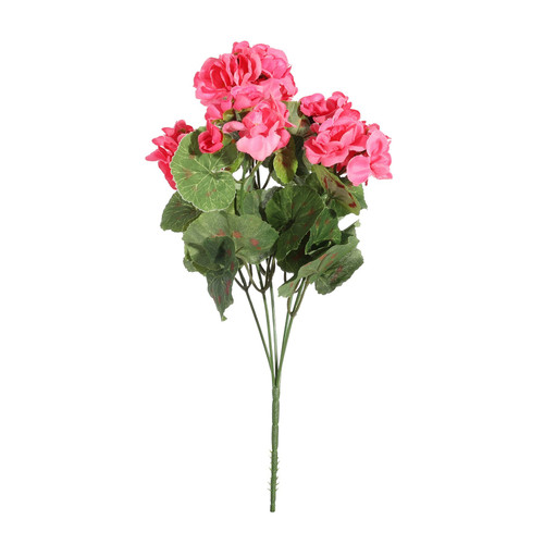 Geranium Dark Pink Bush (10cm)