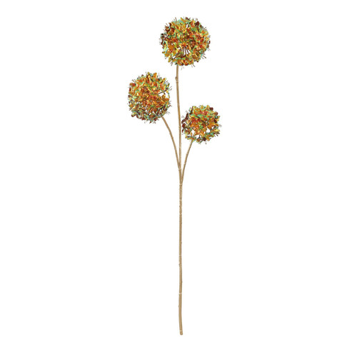 Russet/Green Cassia Fistula (98cm)