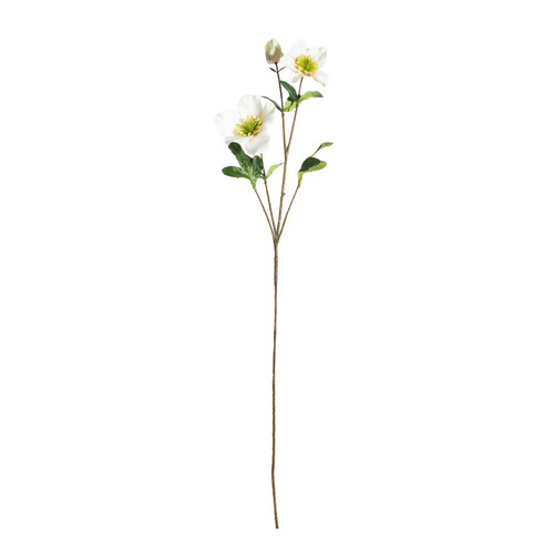 Botanica White Rose Spray (72cm)
