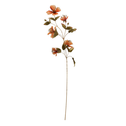 Botanica Orange Caper Flower Spray (109cm)