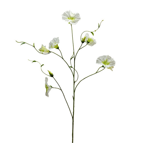 Botanica Cream Liseron (107cm)